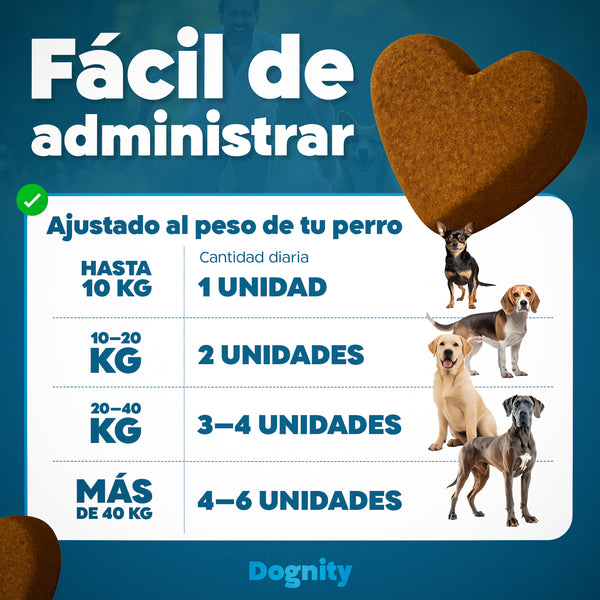 Imagen Móvil