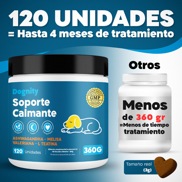 Imagen Móvil