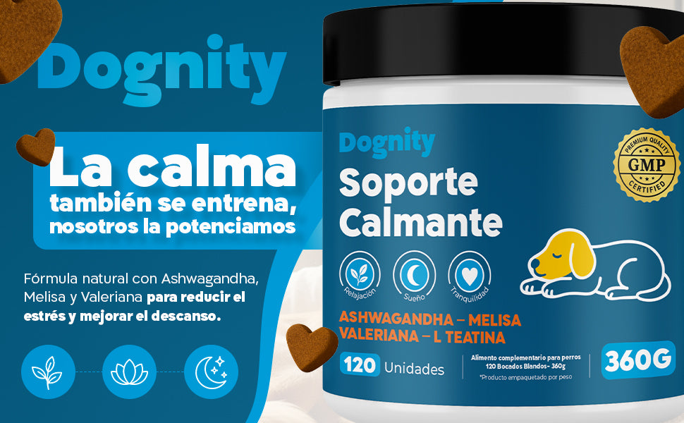 Imagen Desktop