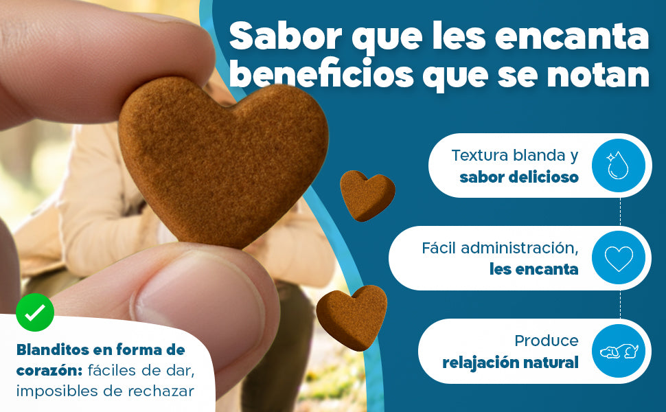 Imagen Desktop