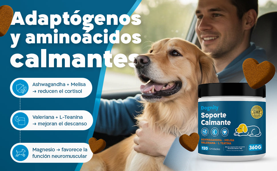 Imagen Desktop