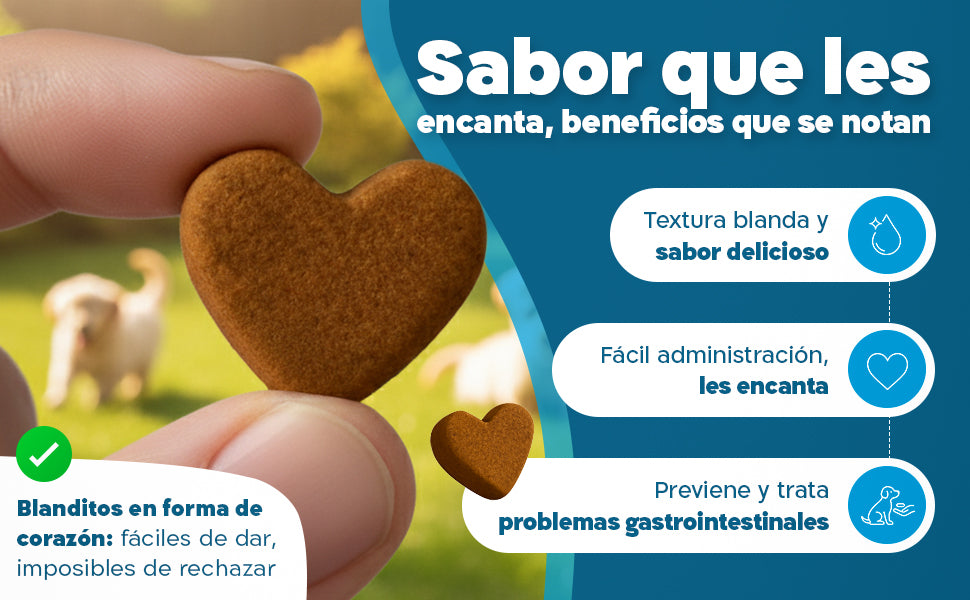 Imagen Desktop