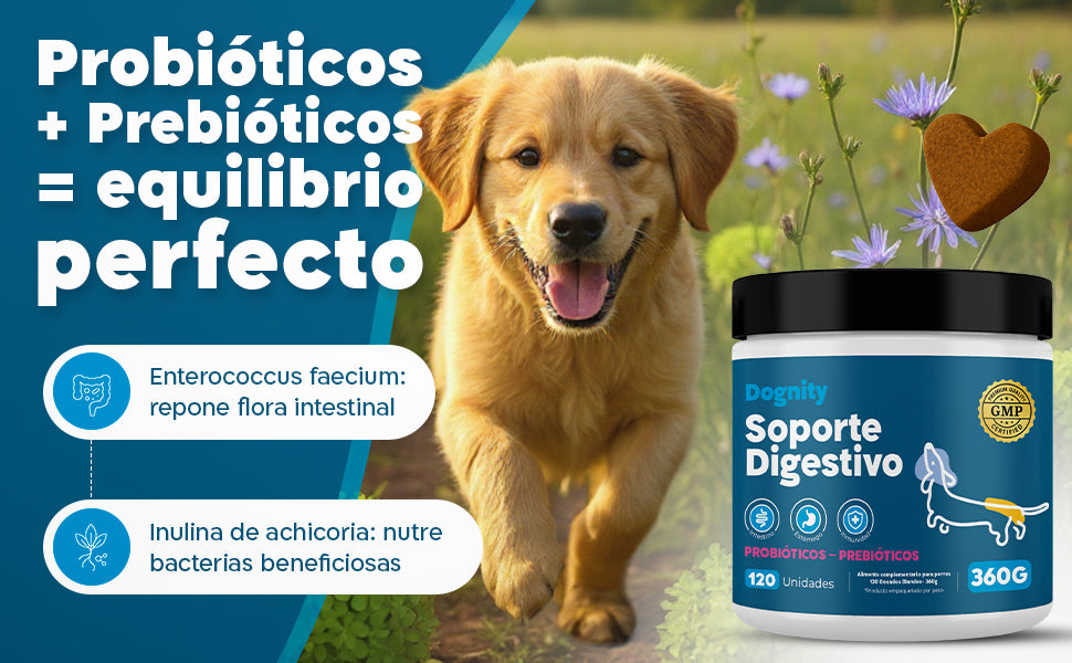 Imagen Desktop