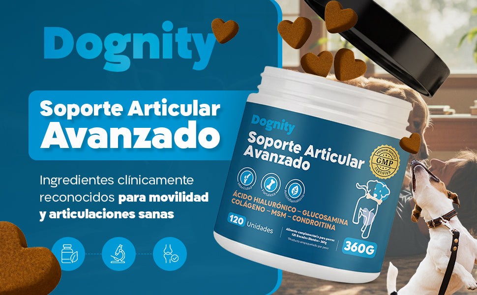 Imagen Desktop
