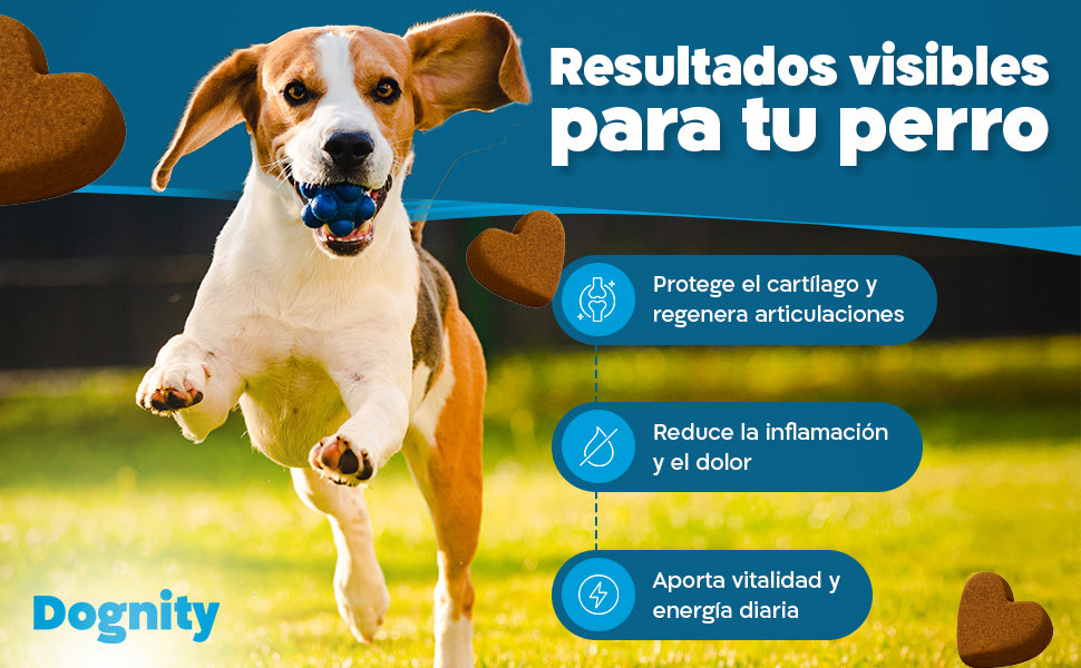 Imagen Desktop