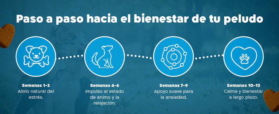 Imagen Desktop