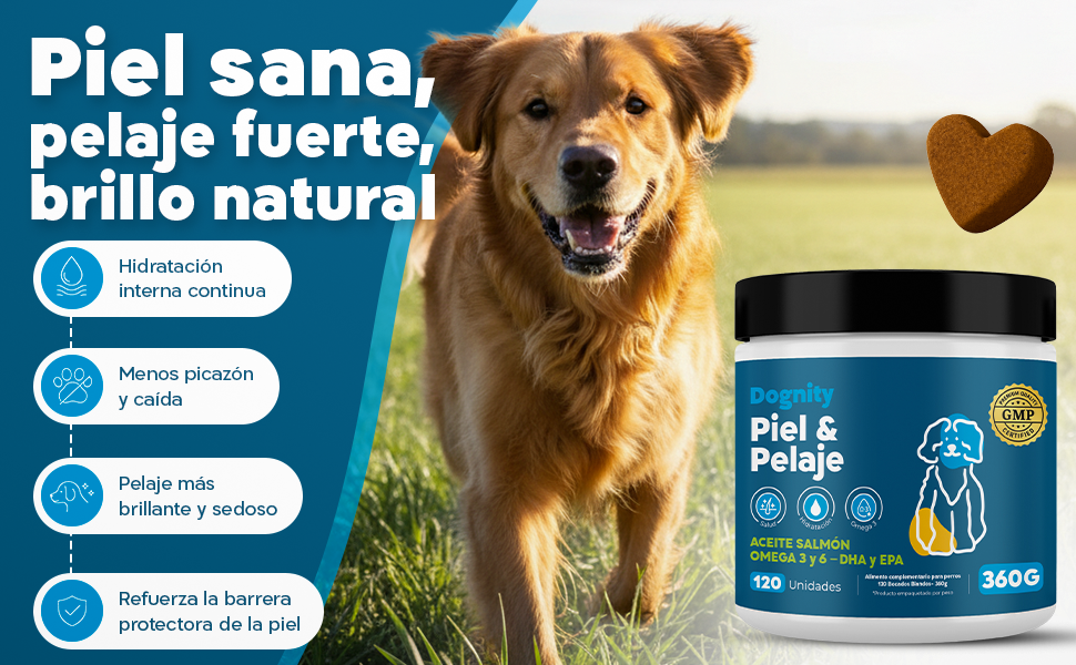 Imagen Desktop