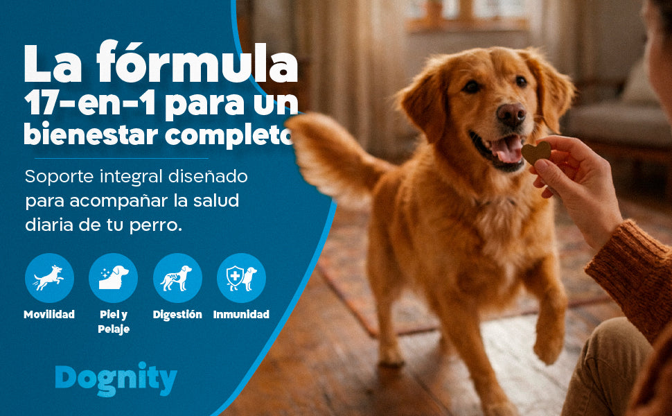 Imagen Desktop