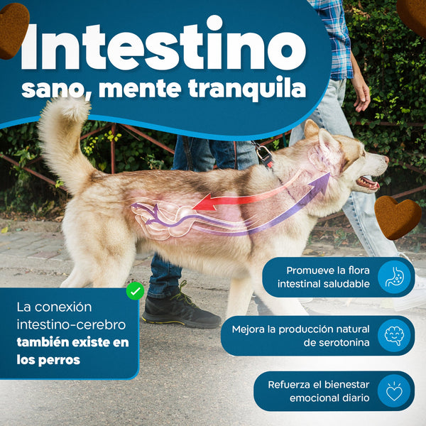 Imagen Móvil