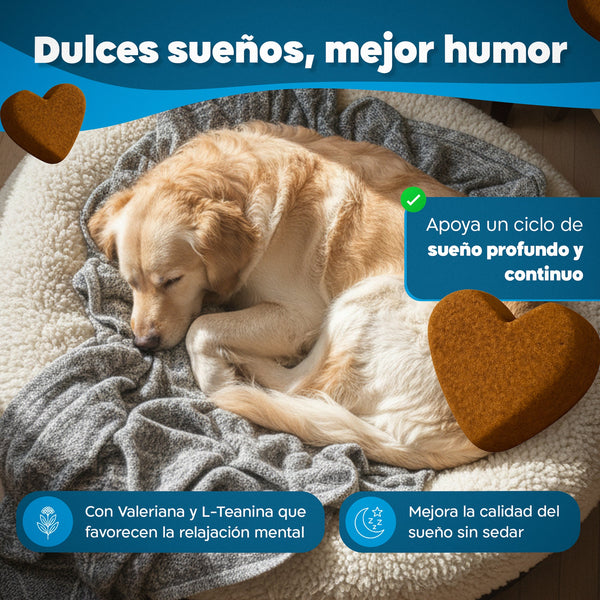 Imagen Móvil