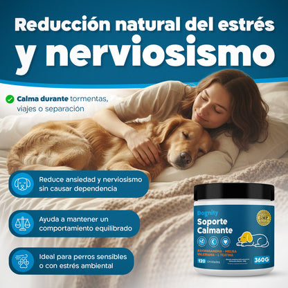 Calma y Relax para Perros – Suplemento Calmante | Dogfinity - Dogfinity