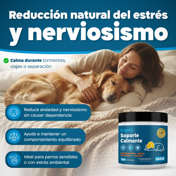 Imagen Móvil