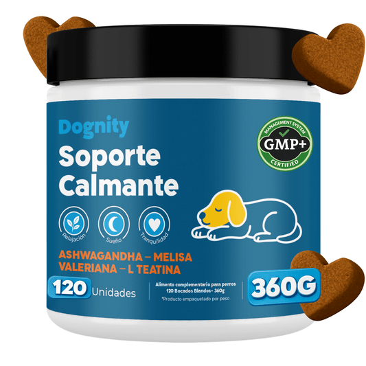 Calma y Relax para Perros – Suplemento Calmante | Dognity - Dogfinity