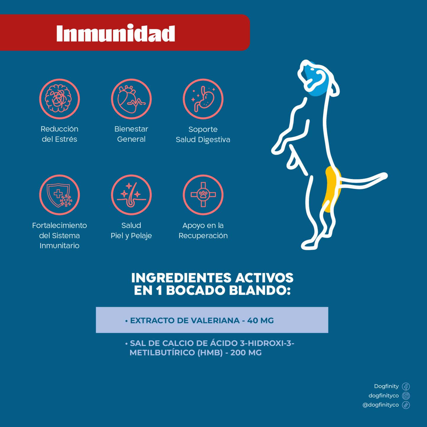 Combo Plus - Soporte Inmunidad - Calma y Relax - Dogfinity