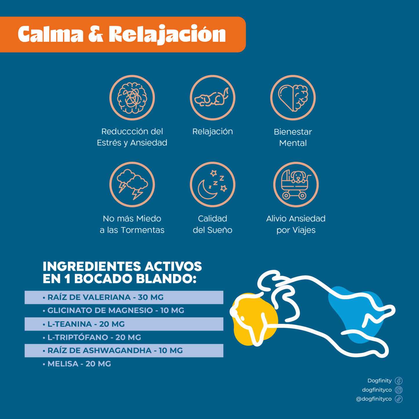 Combo Plus - Soporte Inmunidad - Calma y Relax - Dogfinity