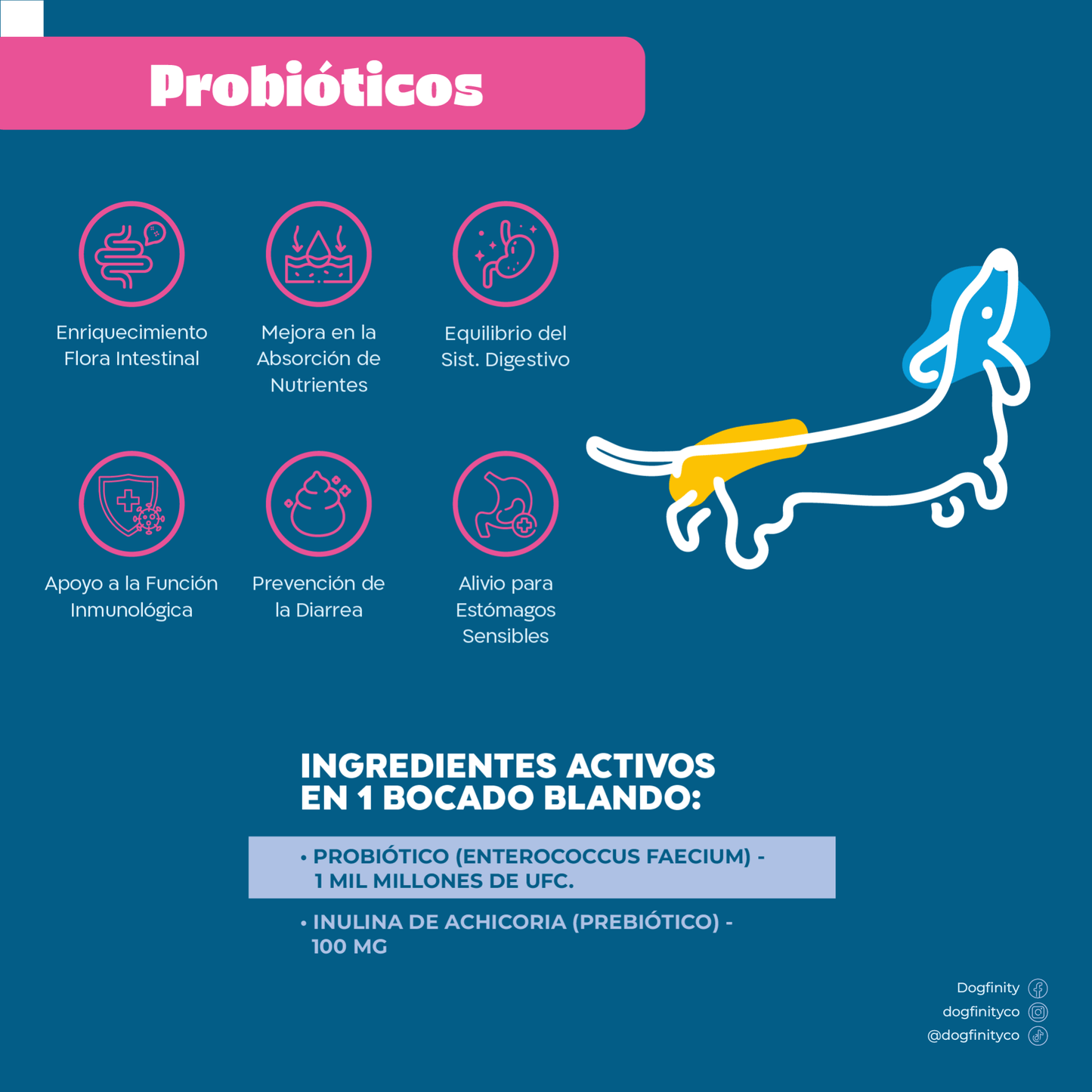Combo Total - Probióticos - Huesos y Articulaciones - Suplementos Para Perros - Dogfinity