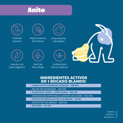 Digestión Total - Anito - Soporte Digestivo - Suplemento Para Perro - Dogfinity