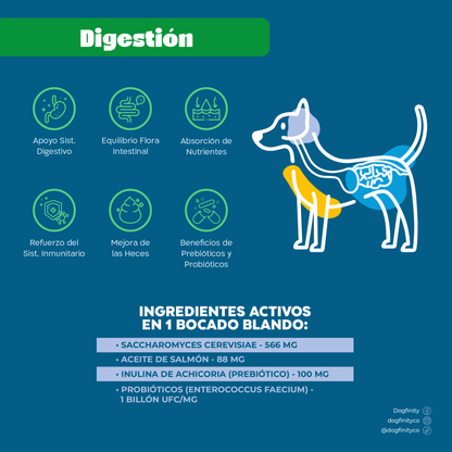 Digestión Total - Anito - Soporte Digestivo - Suplemento Para Perro - Dogfinity