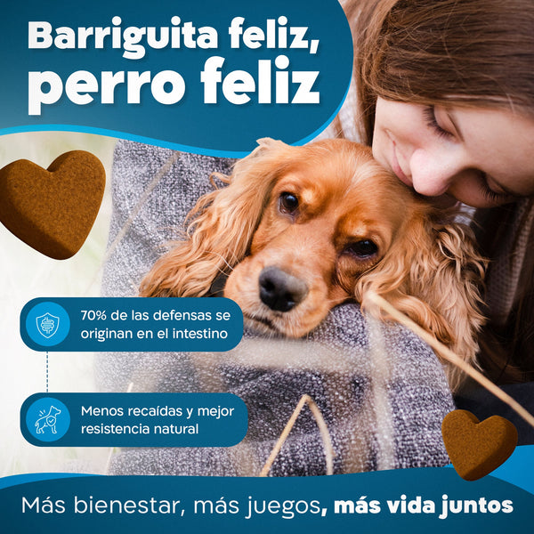 Imagen Móvil