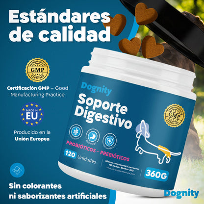 Probióticos para Perros – Mejora la Flora Intestinal y la Digestión | Dogfinity - Dogfinity