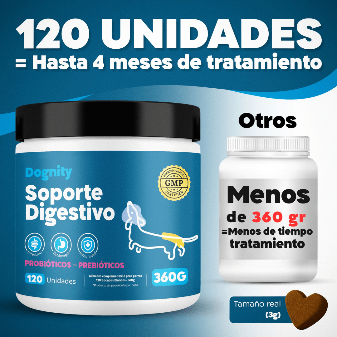 Probióticos para Perros – Mejora la Flora Intestinal y la Digestión | Dogfinity - Dogfinity