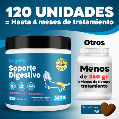 Probióticos para Perros – Mejora la Flora Intestinal y la Digestión | Dogfinity - Dogfinity