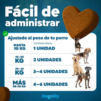 Probióticos para Perros – Mejora la Flora Intestinal y la Digestión | Dogfinity - Dogfinity