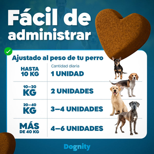 Imagen Móvil