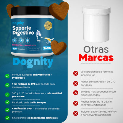 Probióticos para Perros – Mejora la Flora Intestinal y la Digestión | Dogfinity - Dogfinity