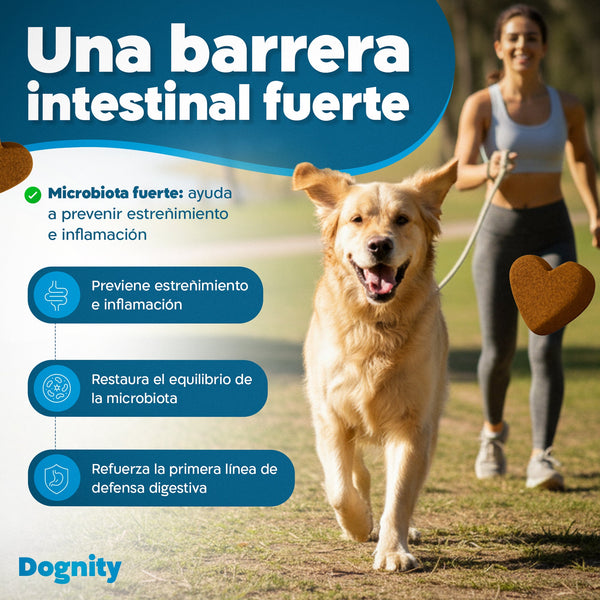 Imagen Móvil