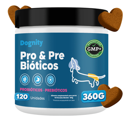 Probióticos para Perros – Mejora la Flora Intestinal y la Digestión | Dognity - Dogfinity