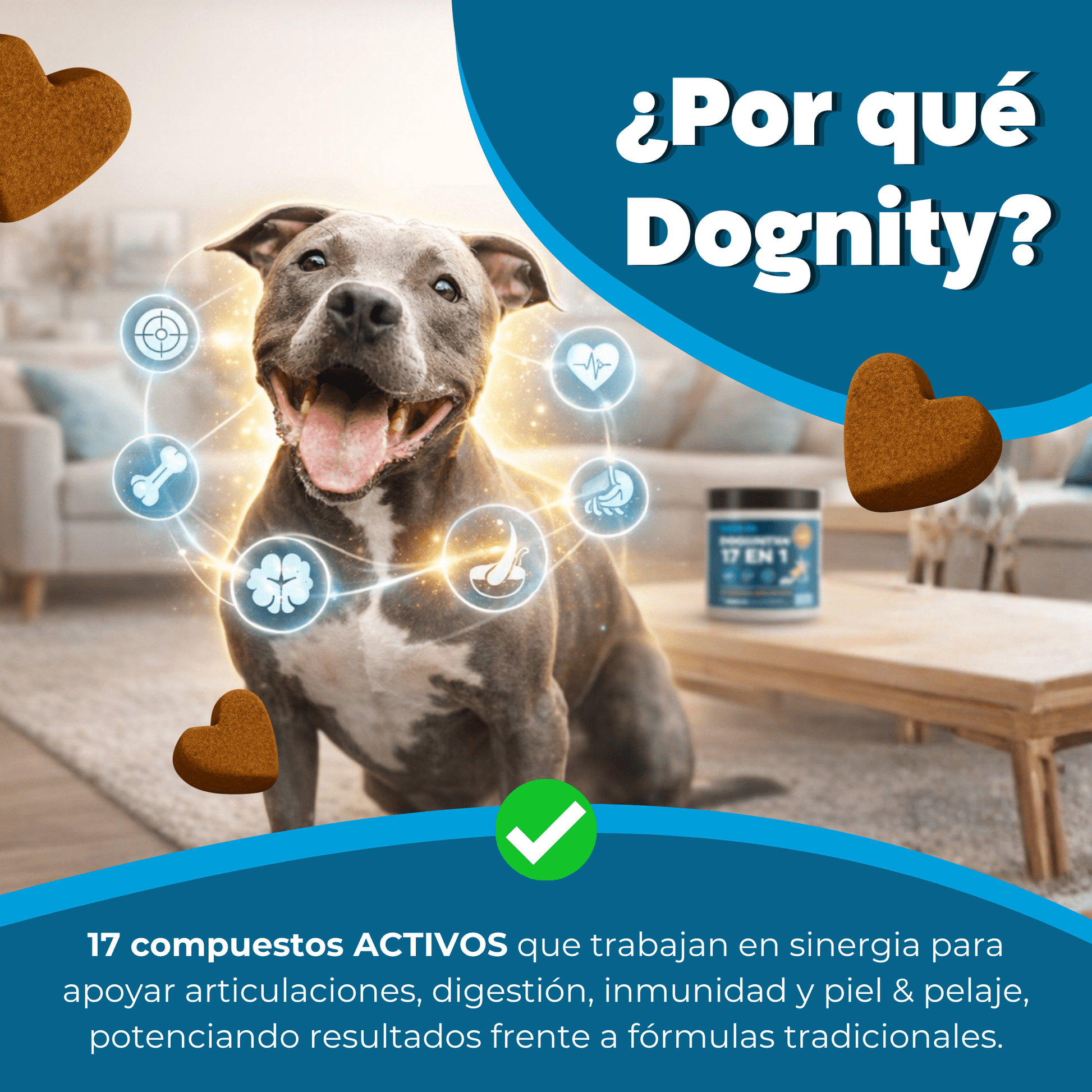 Suplemento 17 en 1 para Perros – Complejo Multivitamínico Total | Dognity - Dogfinity