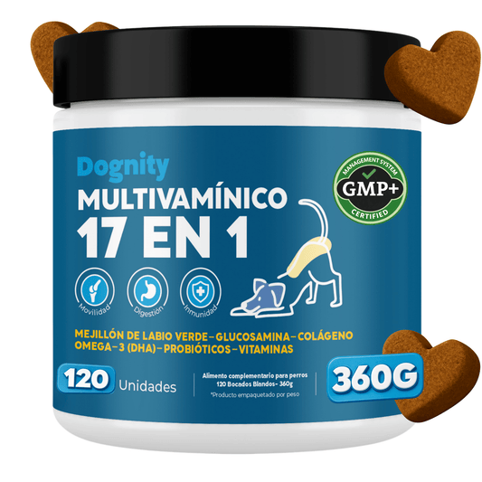 Suplemento 17 en 1 para Perros – Complejo Multivitamínico Total | Dognity - Dogfinity