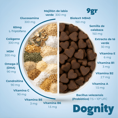 Suplemento 17 en 1 para Perros – Complejo Multivitamínico Total | Dognity - Dogfinity