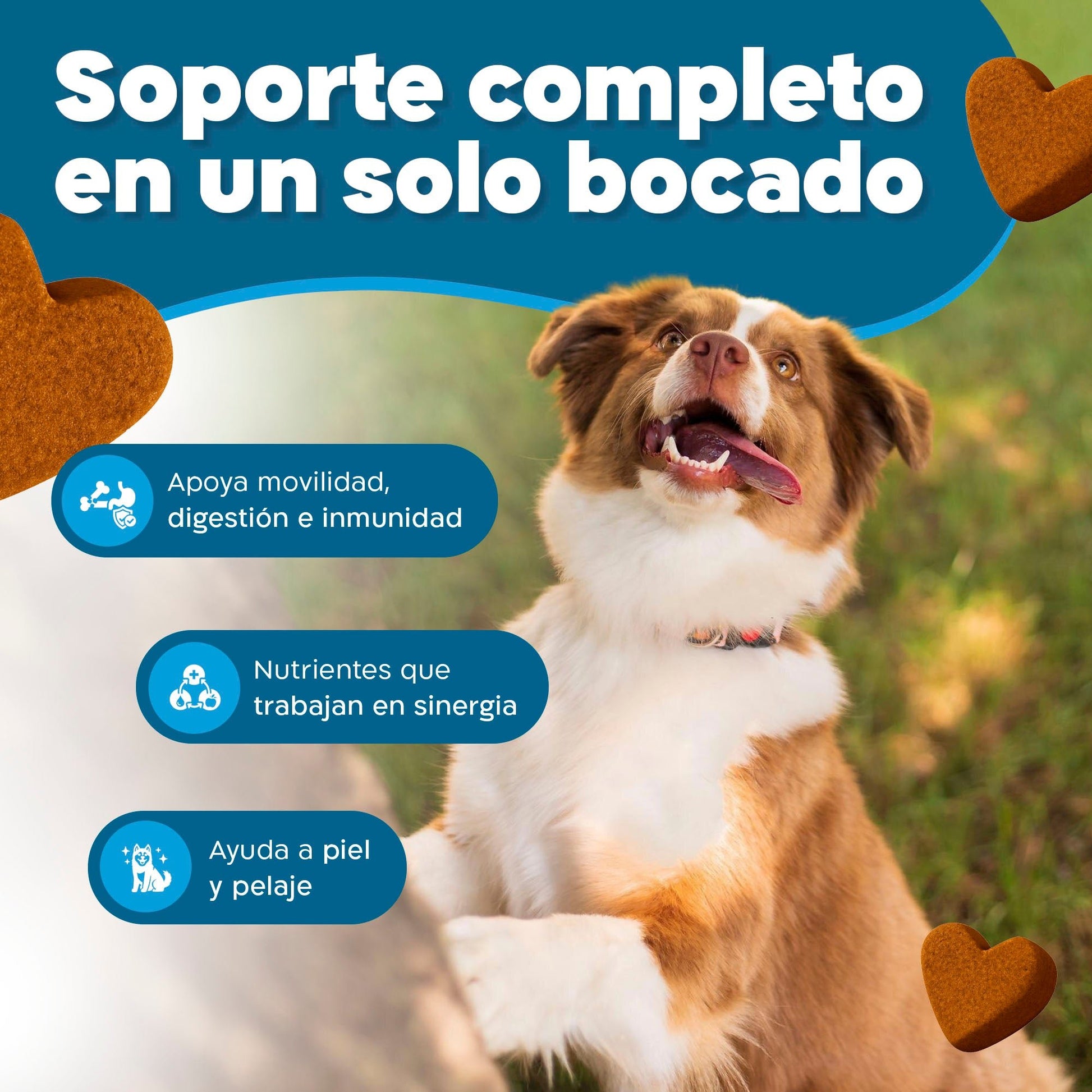 Suplemento 17 en 1 para Perros – Complejo Multivitamínico Total | Dognity - Dogfinity