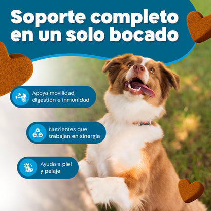 Suplemento 17 en 1 para Perros – Complejo Multivitamínico Total | Dognity - Dogfinity