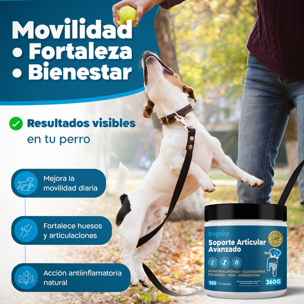 Imagen Móvil