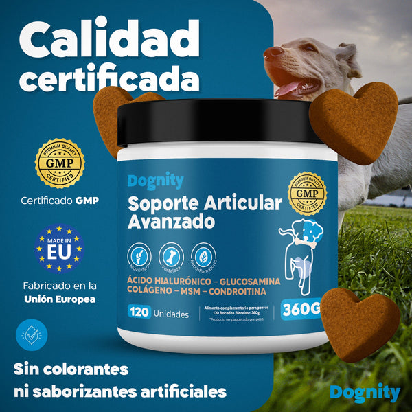Imagen Móvil