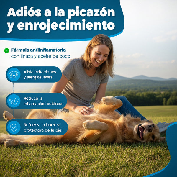 Imagen Móvil